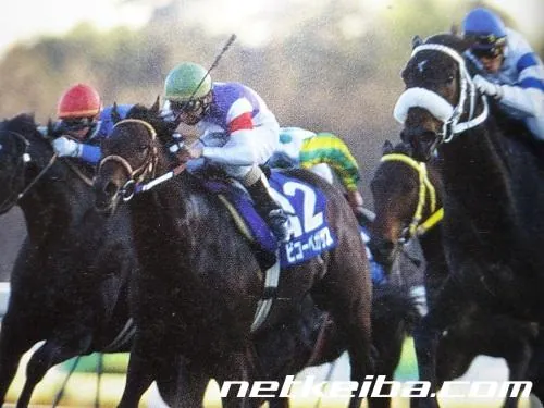 Additional IRL photograph of Biko Pegasus