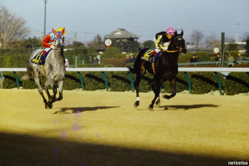 Archive photograph of Tamamo Cross