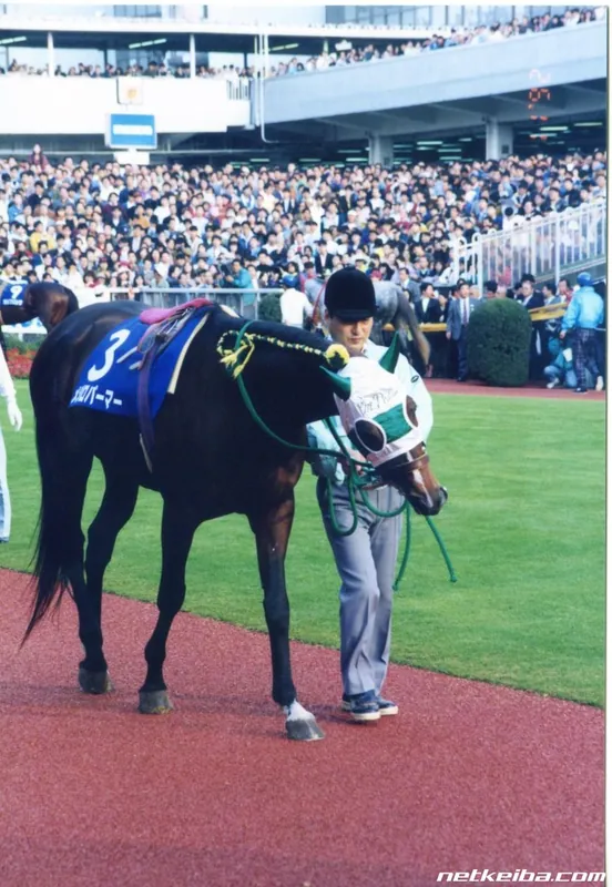 Additional IRL photograph of Mejiro Palmer