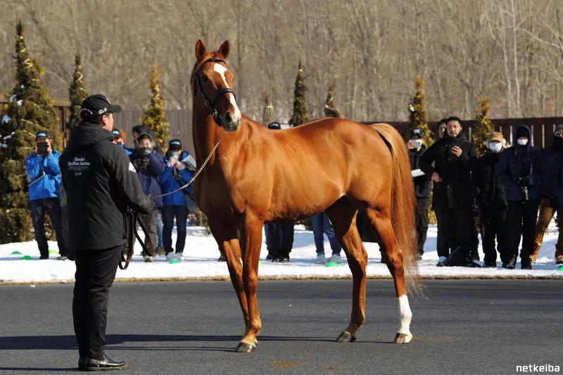 Additional IRL photograph of Orfevre