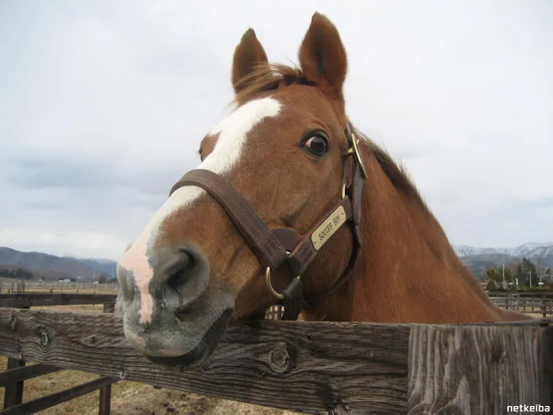 Additional IRL photograph of Dicta Striker