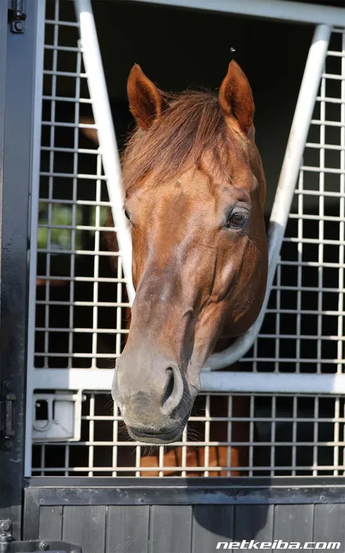 Archive photograph of Furioso