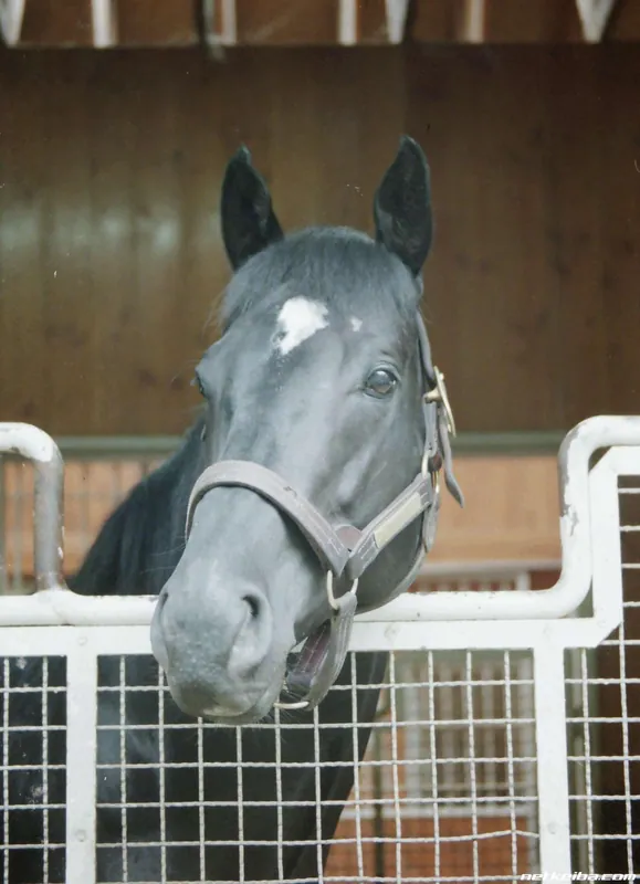 Archive photograph of Fuji Kiseki