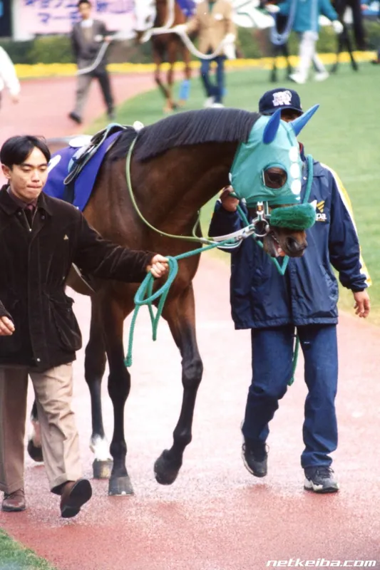Archive photograph of King Halo