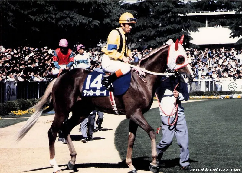Archive photograph of Dicta Striker