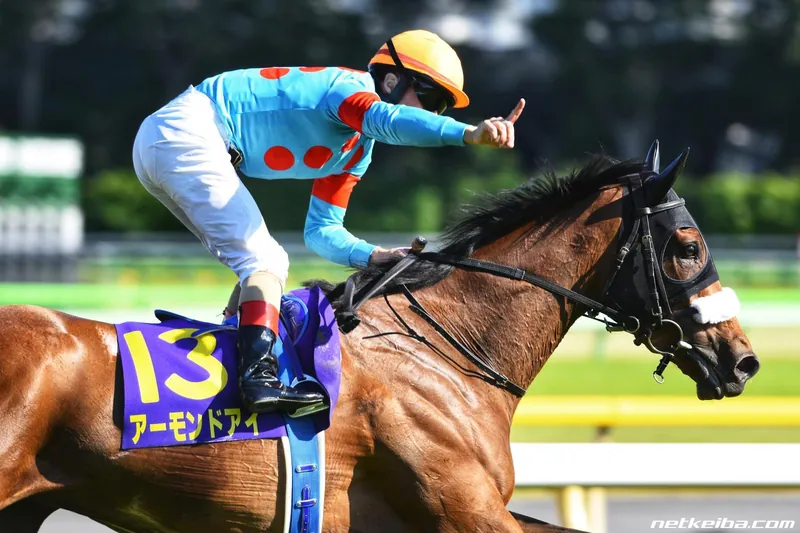 Archive photograph of Almond Eye
