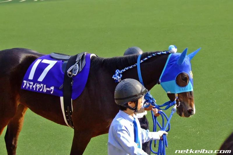 Archive photograph of Admire Groove