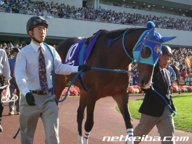 Additional IRL photograph of Admire Groove