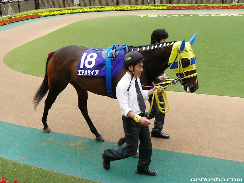 Additional IRL photograph of Air Messiah