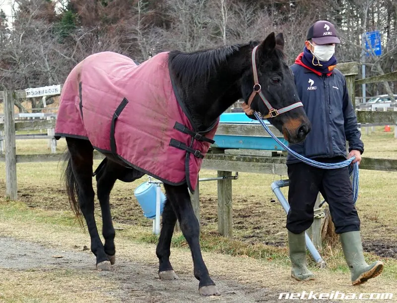 Additional IRL photograph of Winning Ticket