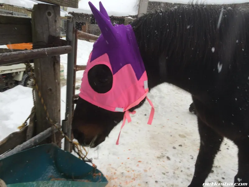 Additional IRL photograph of Inari One