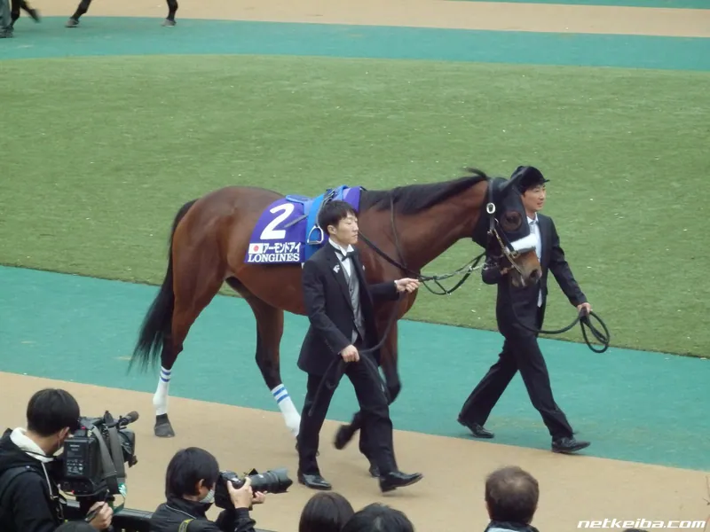 Additional IRL photograph of Almond Eye