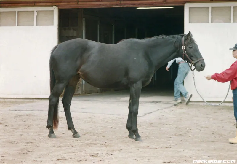 Archive photograph of Daiichi Ruby