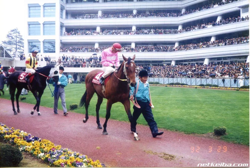 Archive photograph of Sakura Bakushin O