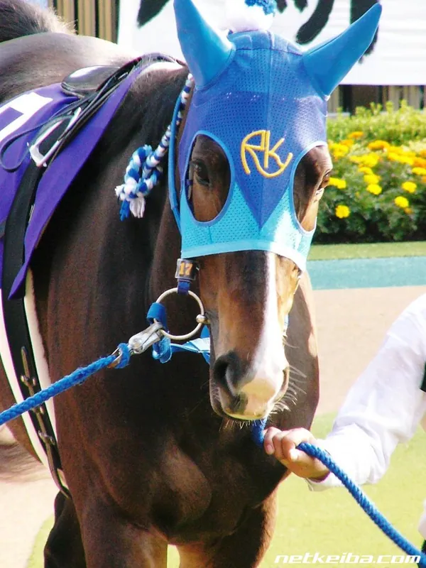 Additional IRL photograph of Admire Groove