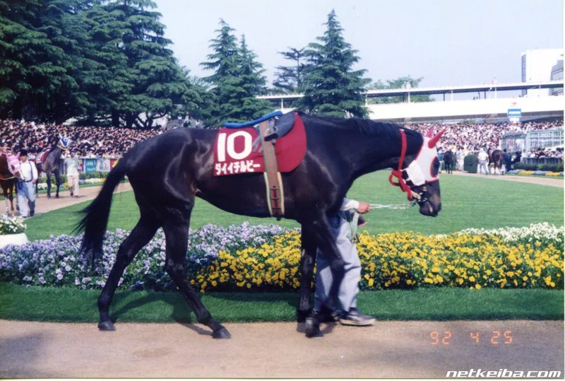 Additional IRL photograph of Daiichi Ruby