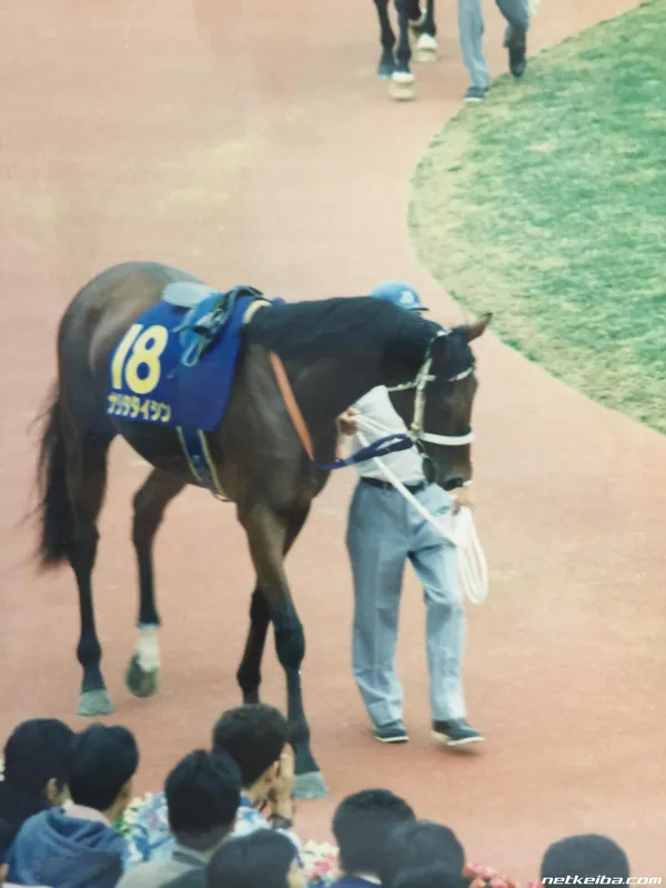 Additional IRL photograph of Narita Taishin