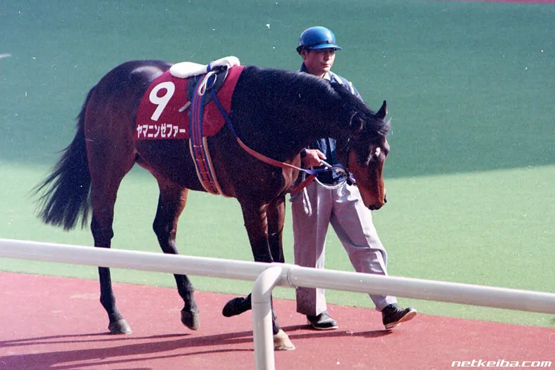 Archive photograph of Yamanin Zephyr