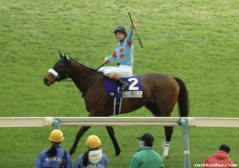Additional IRL photograph of Almond Eye