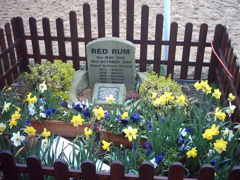 Additional IRL photograph of Red Rum