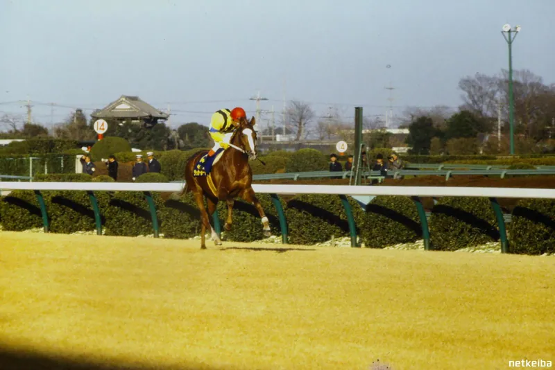 Archive photograph of Dicta Striker