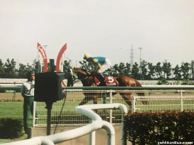Additional IRL photograph of Silence Suzuka