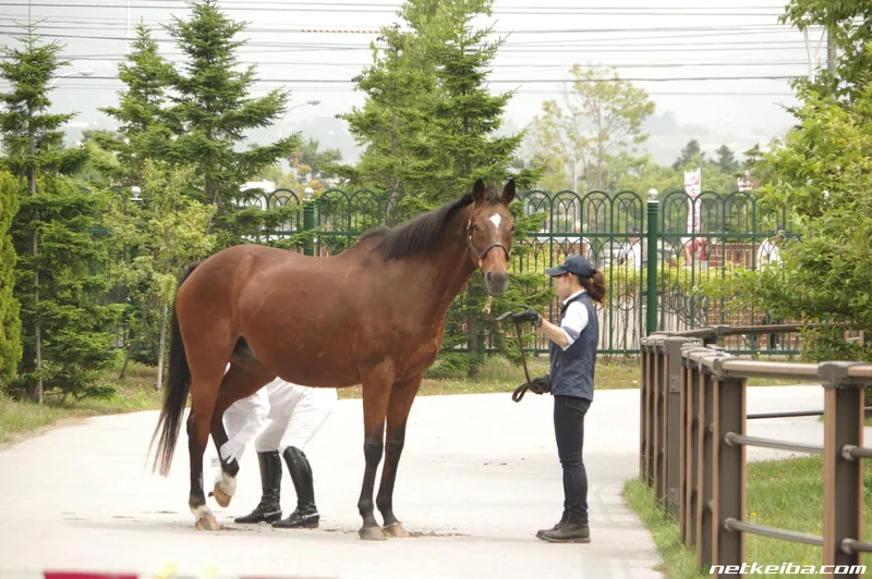 Additional IRL photograph of Mejiro Dober