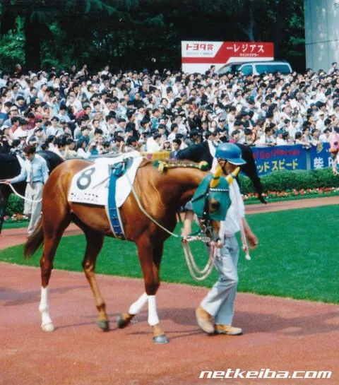 Additional IRL photograph of Silence Suzuka