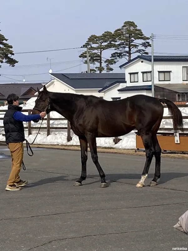 Archive photograph of Win Variation
