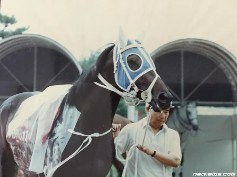Additional IRL photograph of Daitaku Helios