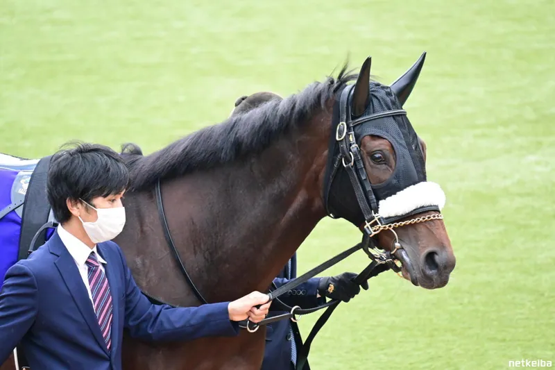 Archive photograph of Curren Bouquetd'or