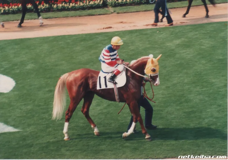 Archive photograph of Gold City