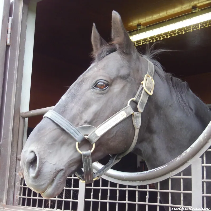 Additional IRL photograph of Symboli Kris S