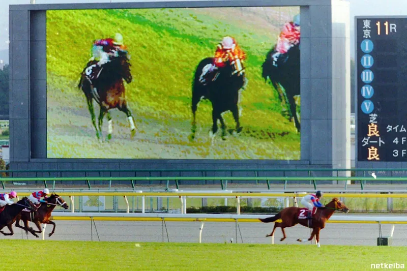 Archive photograph of Grass Wonder