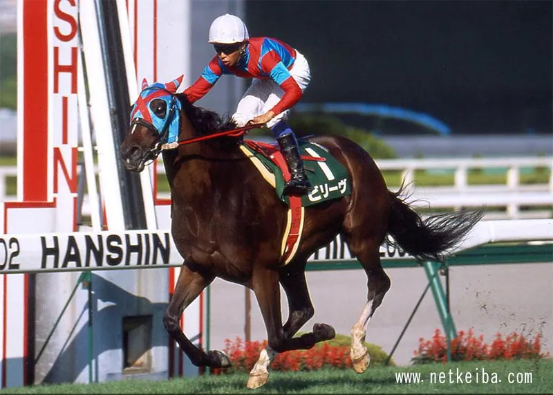 Archive photograph of Believe
