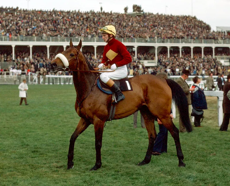 Archive photograph of Red Rum