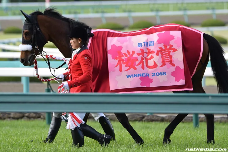 Archive photograph of Almond Eye