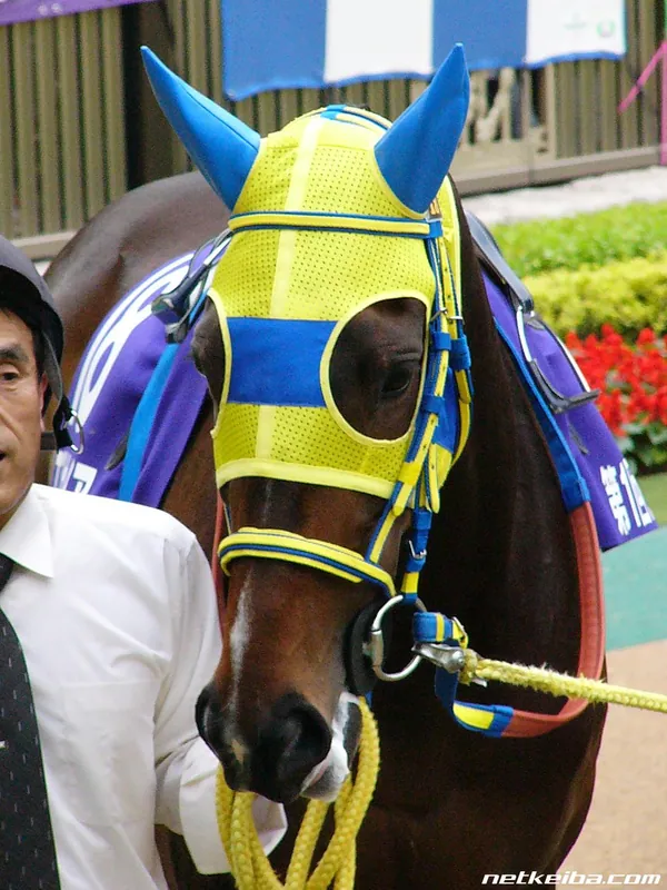 Archive photograph of Air Messiah