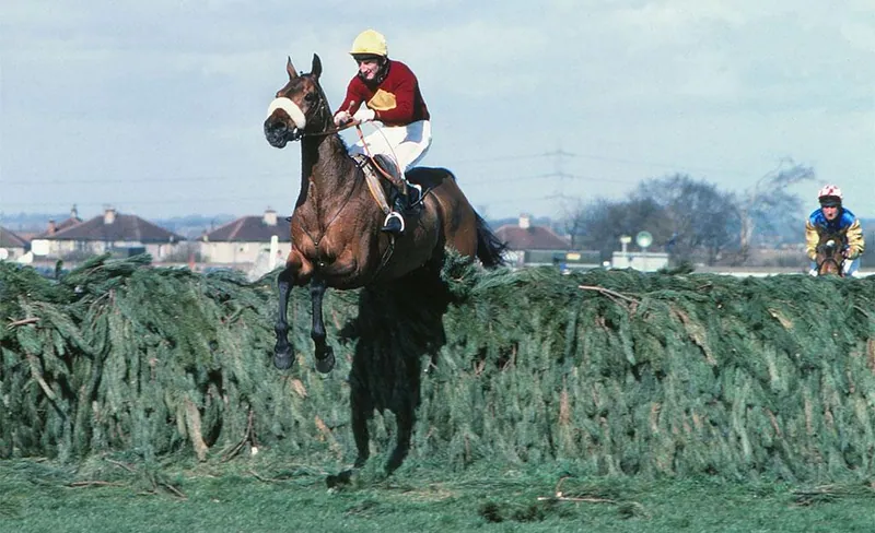 Archive photograph of Red Rum