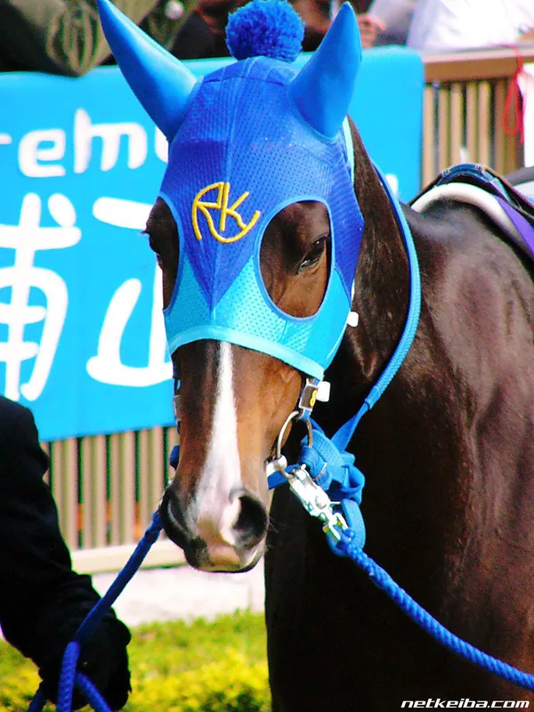 Additional IRL photograph of Admire Groove