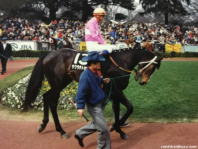 Archive photograph of Sakura Chitose O