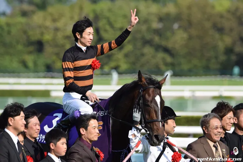 Additional IRL photograph of Kitasan Black