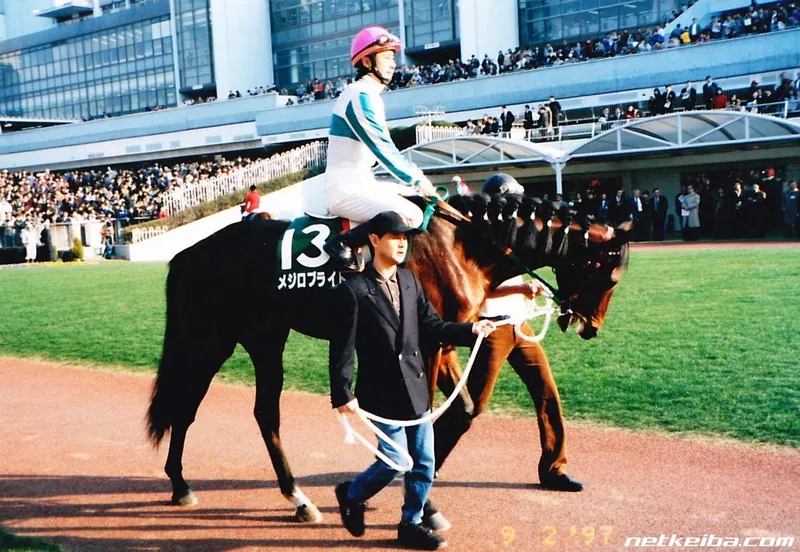 Archive photograph of Mejiro Bright