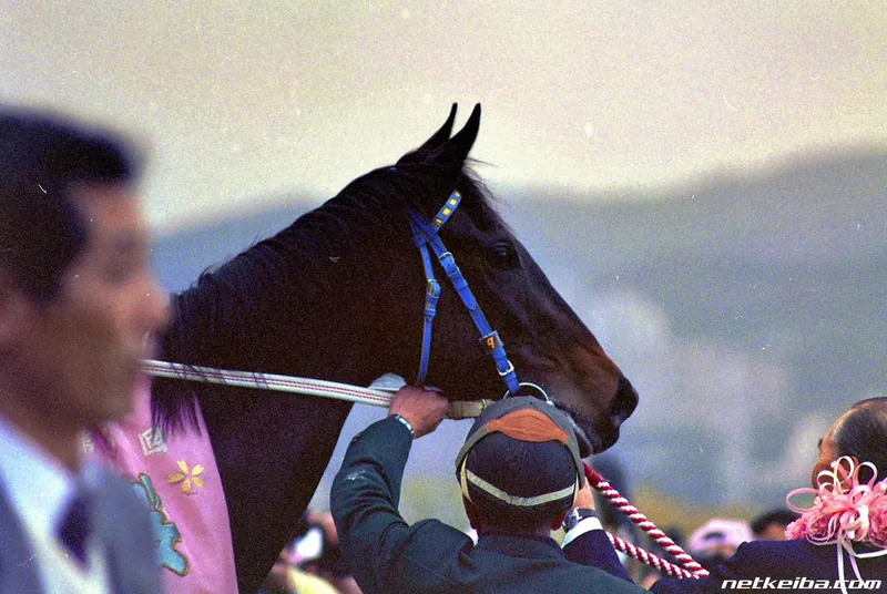 Archive photograph of Nishino Flower
