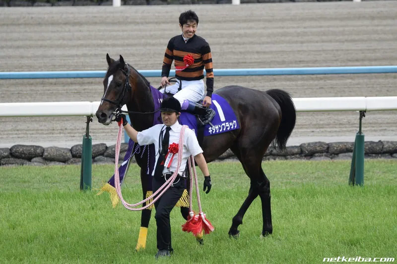 Additional IRL photograph of Kitasan Black