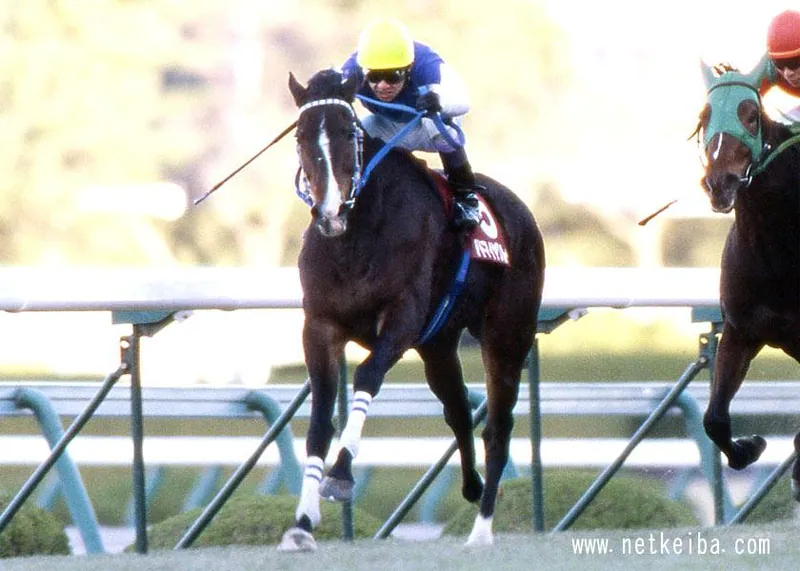 Additional IRL photograph of Admire Groove