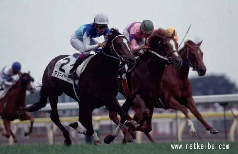 Archive photograph of Admire Vega