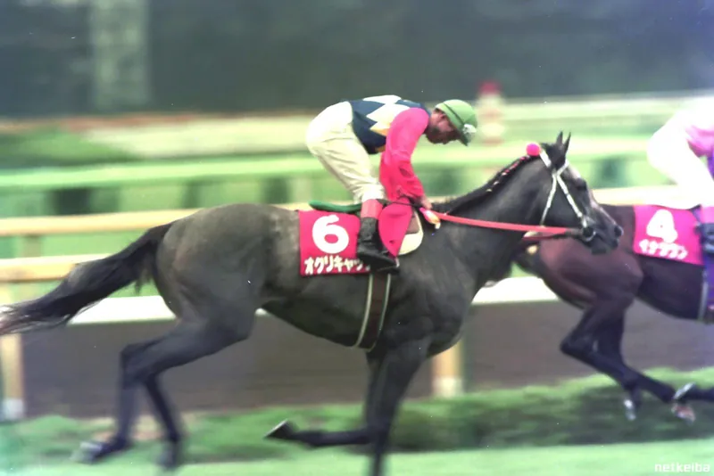 Archive photograph of Oguri Cap