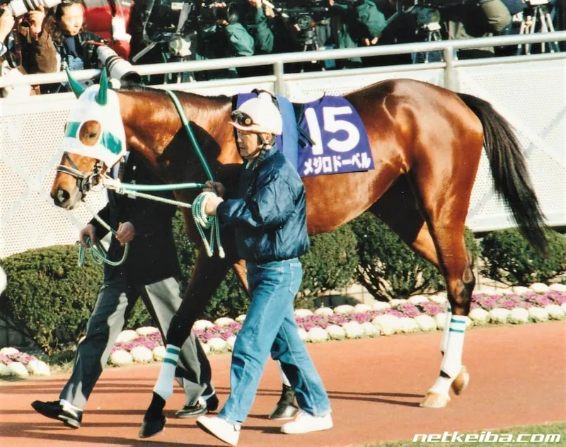 Additional IRL photograph of Mejiro Dober
