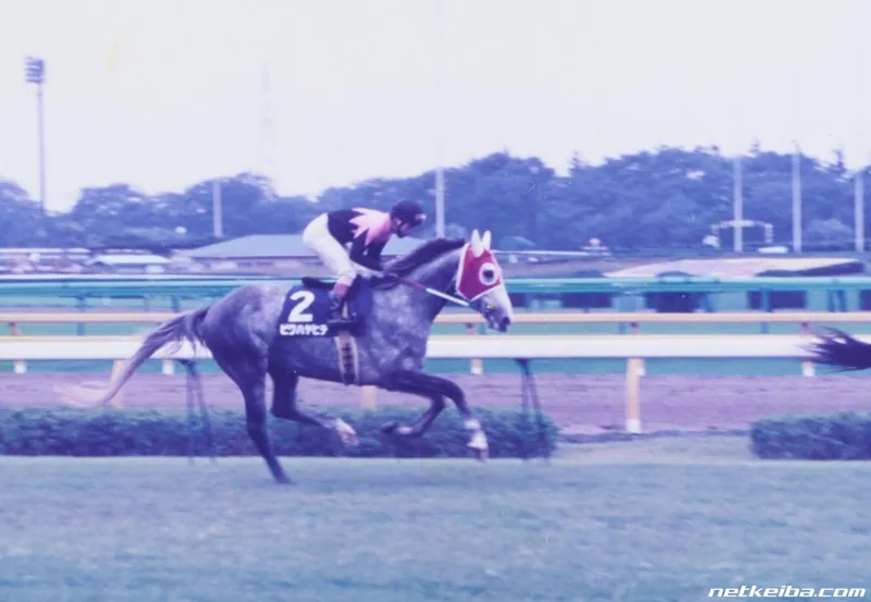 Additional IRL photograph of Biwa Hayahide